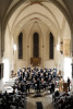 Bach und Reflexionen, 16.11.2024