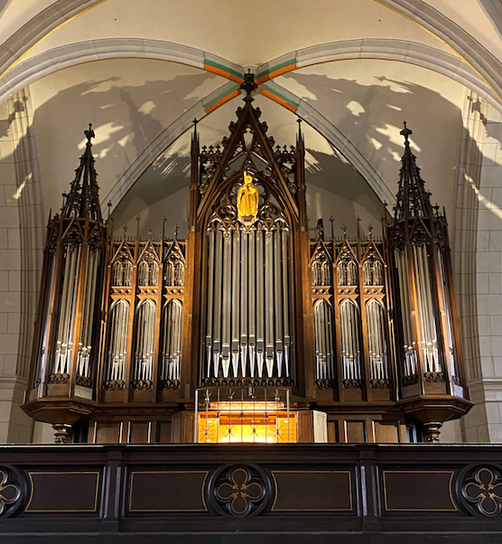 Gerhardt-Orgel der Stadtkirche